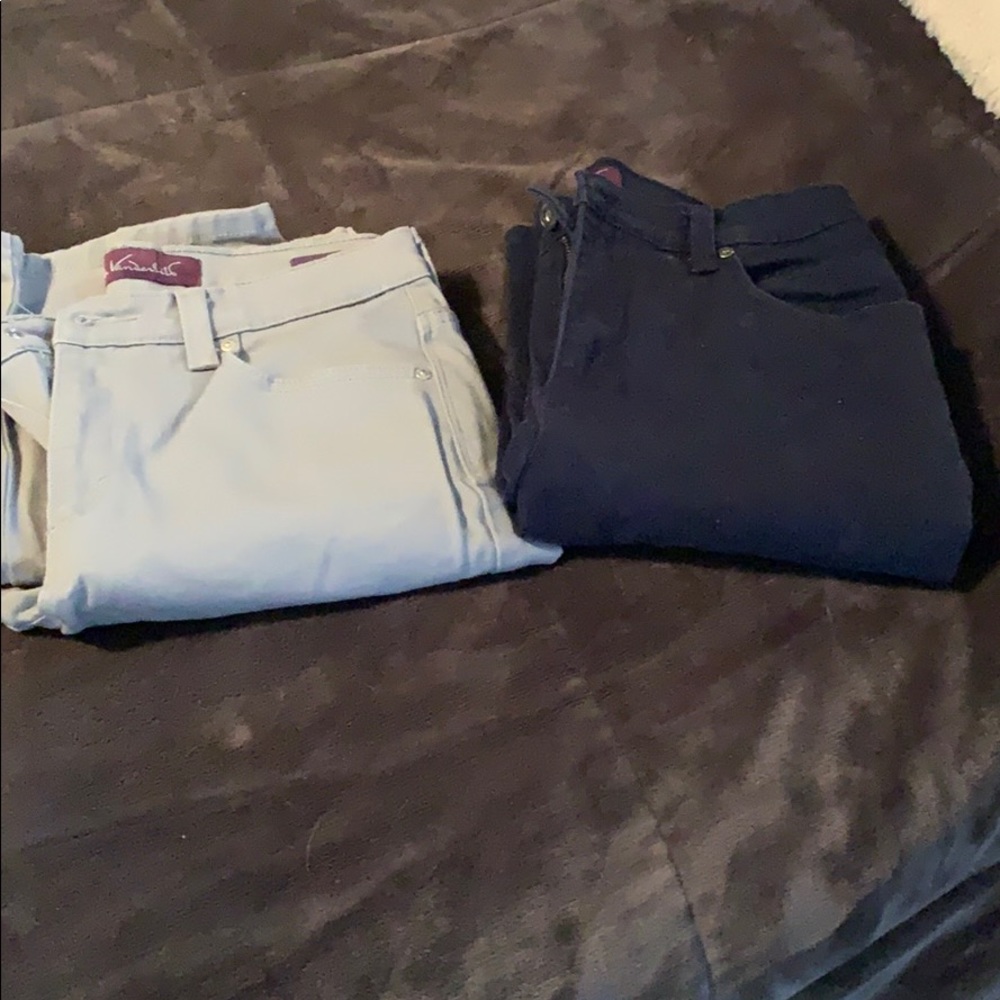 Gloria Vanderbelt Jeans (3)
